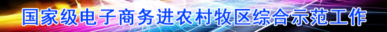 国家级电子商务进农村牧区综合示范工作